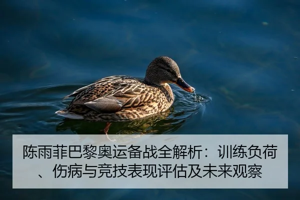陈雨菲巴黎奥运备战全解析：训练负荷、伤病与竞技表现评估及未来观察