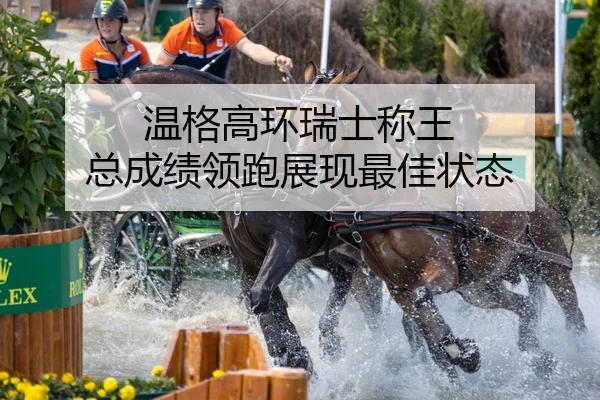 wen-ge-gao-huan-rui-shi-cheng-wang-zong-cheng-ji-ling-pao-zhan-xian-zui-jia-zhuang-tai-2-883.jpg